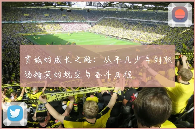 贾诚的成长之路：从平凡少年到职场精英的蜕变与奋斗历程