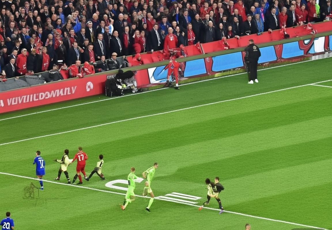 2019英超巅峰对决：利物浦VS莱斯特城精彩瞬间回顾(图3)